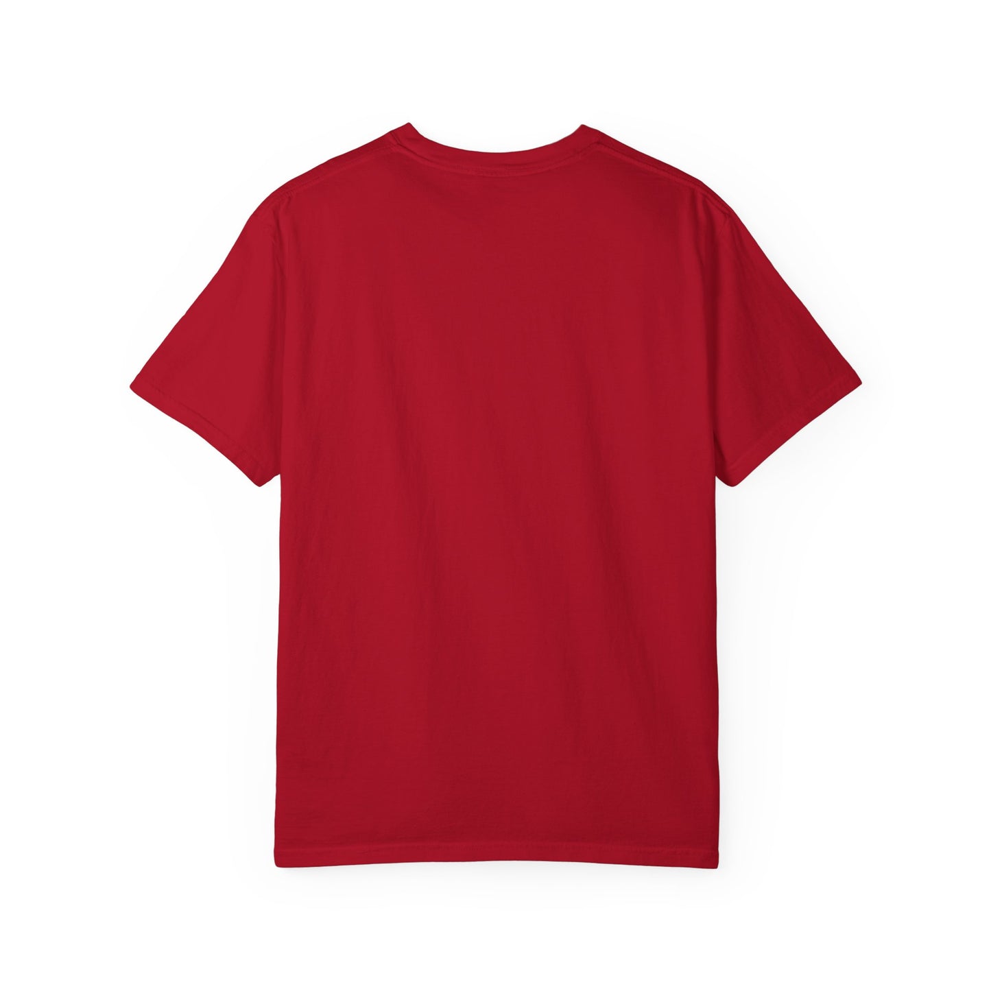 Unisex Garment-Dyed T-Shirt with Thoughtful Message | Casual Wear, Gift for Friends, Everyday Style, Graphic Tee, Philosophy Clothing