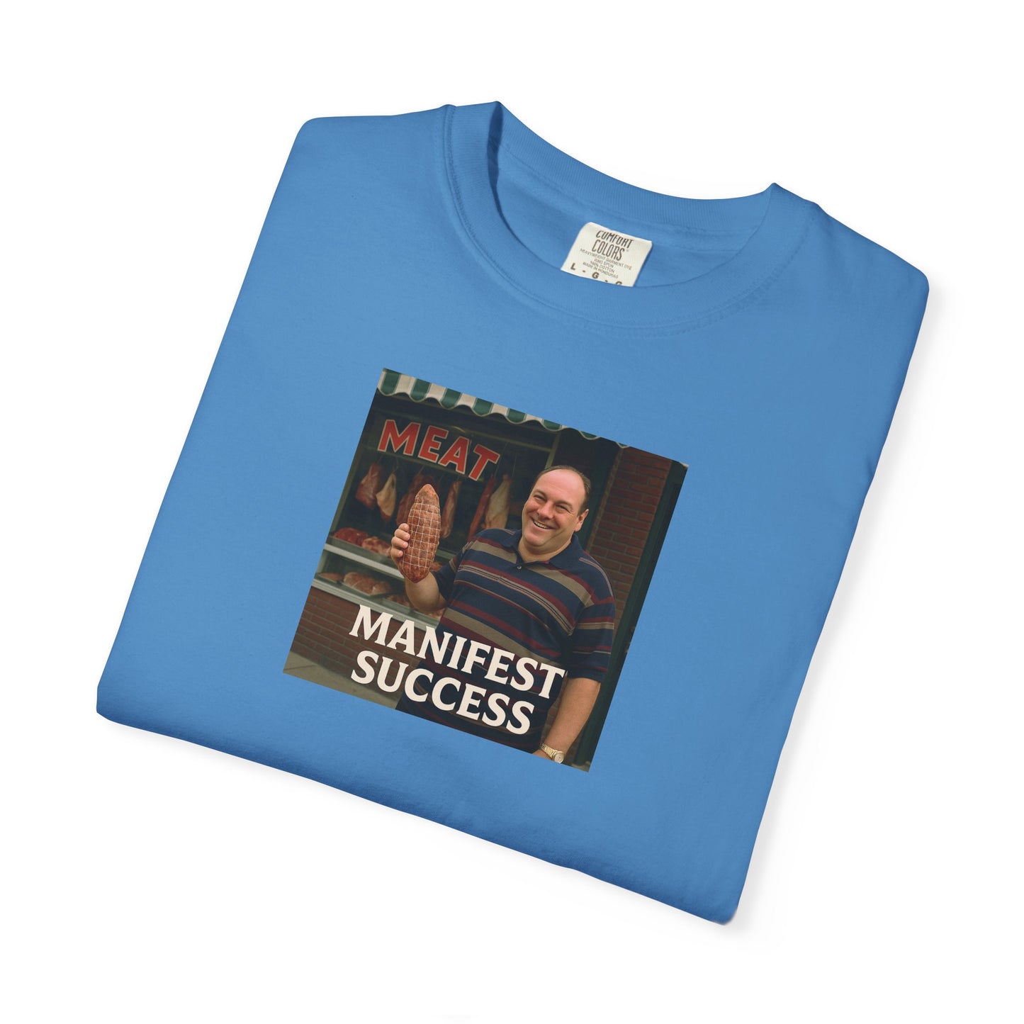 Manifest Success Unisex Garment-Dyed T-Shirt