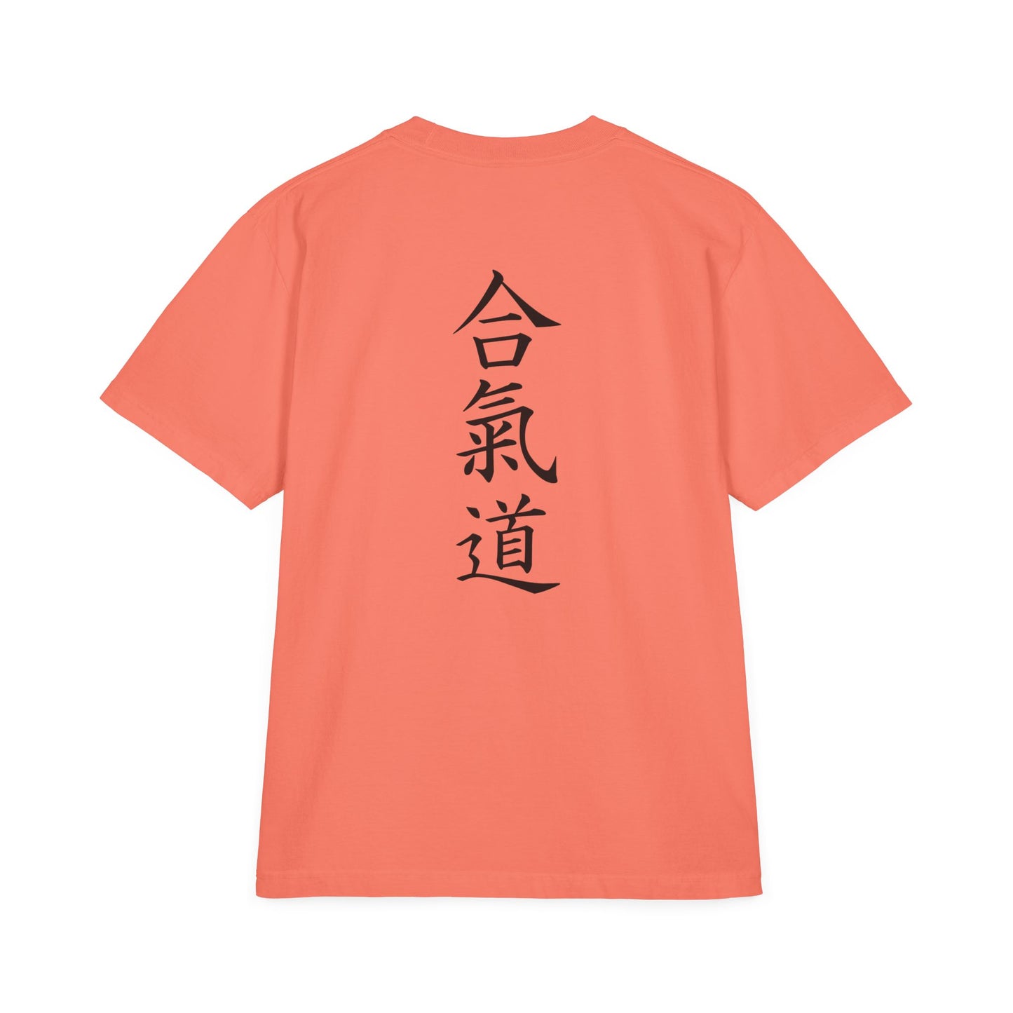 Aikido T Shirt